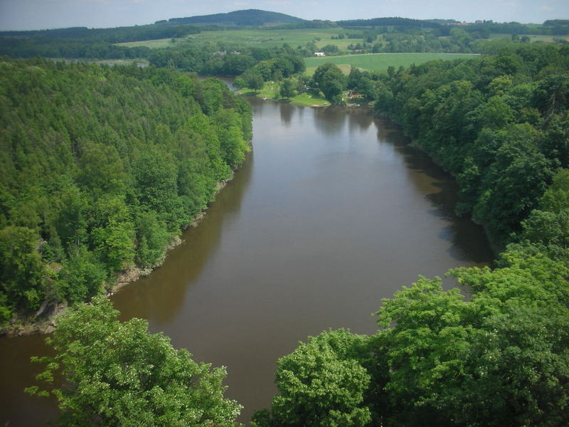 77.jpg