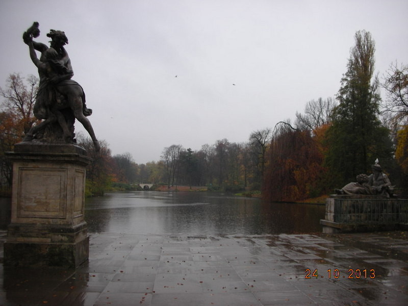 96.jpg