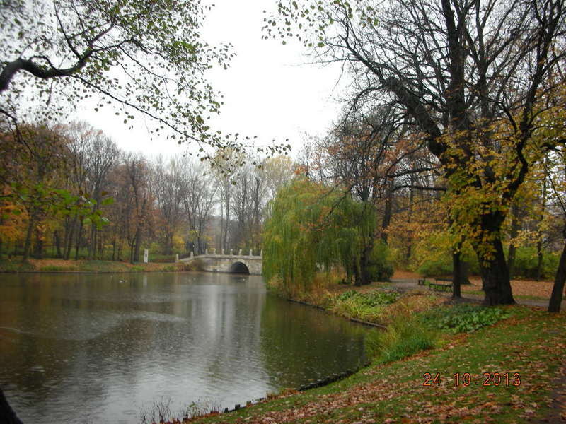 97.jpg