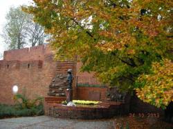 Image 0