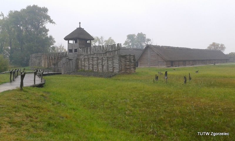 103.jpg