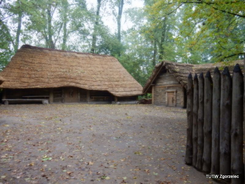 126.jpg