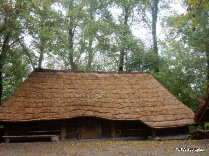 129.jpg