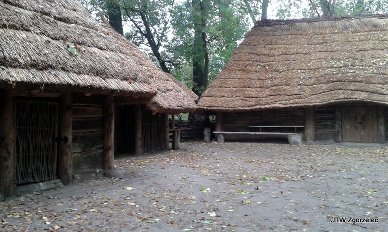 131.jpg