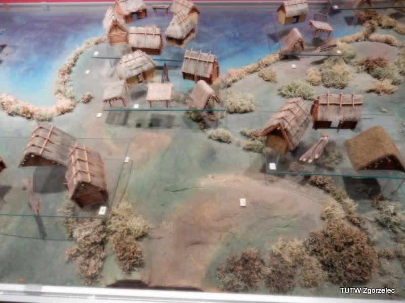 141.jpg