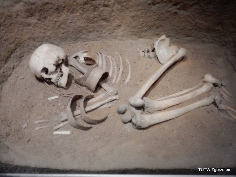 147.jpg