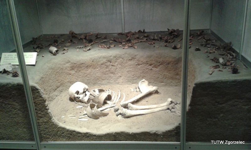148.jpg
