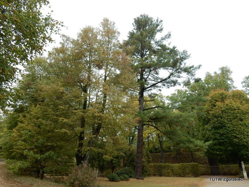 273.jpg
