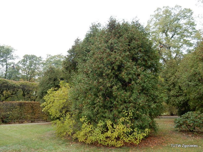 274.jpg