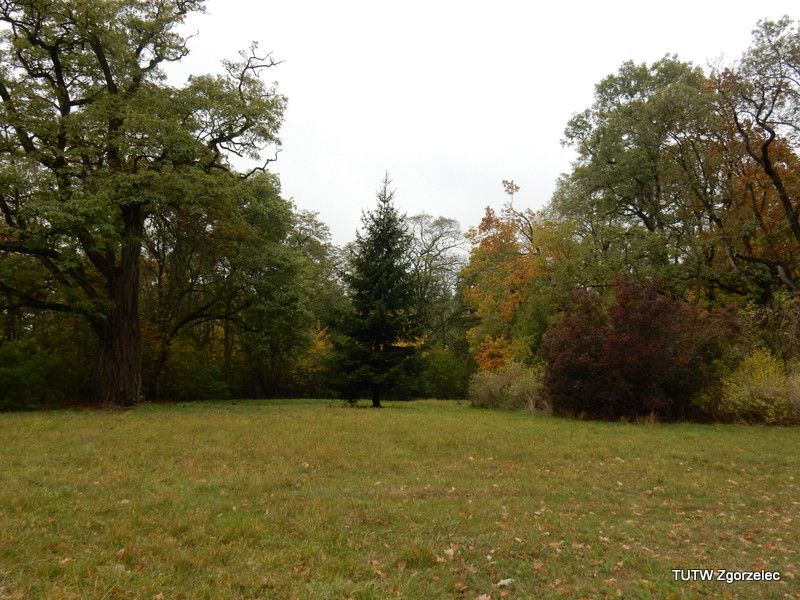 276.jpg
