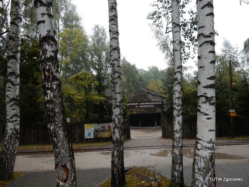 85.jpg
