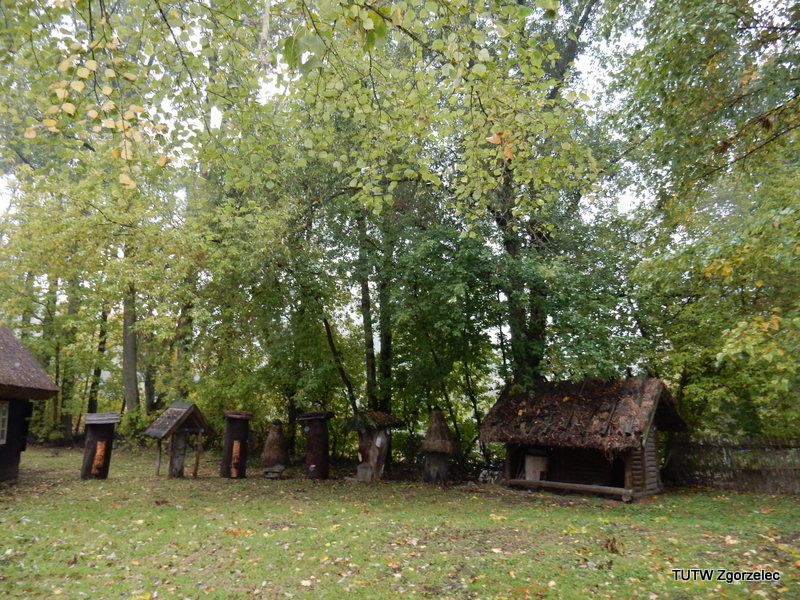 97.jpg