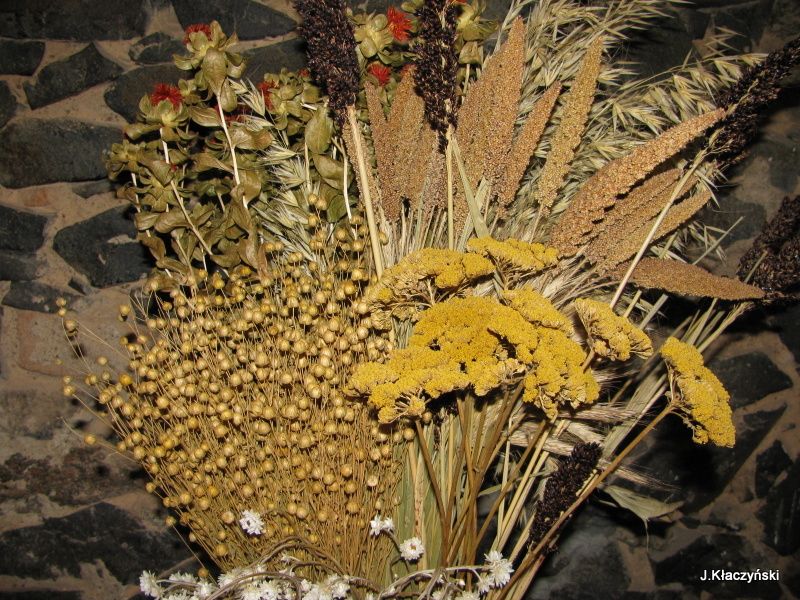 57.jpg