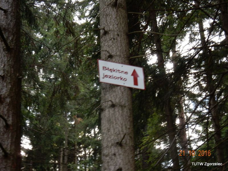 118.jpg